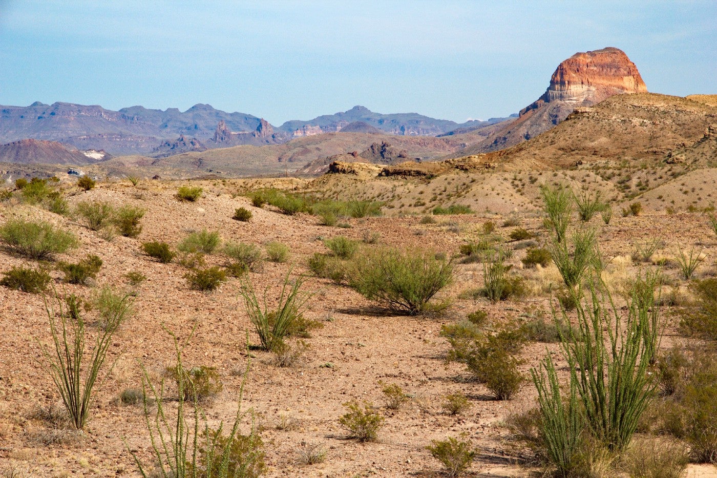 Chihuahuan desert