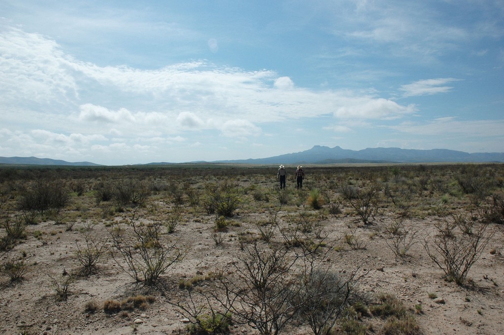 ranchers walk across parched land