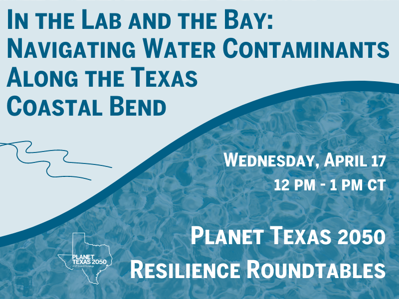 Planet Texas 2050 event flyer