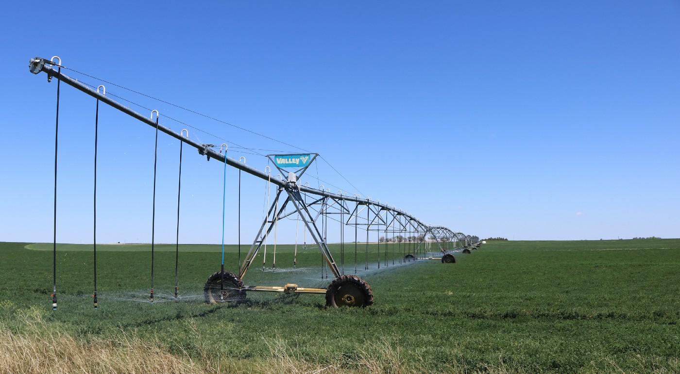 irrigation system