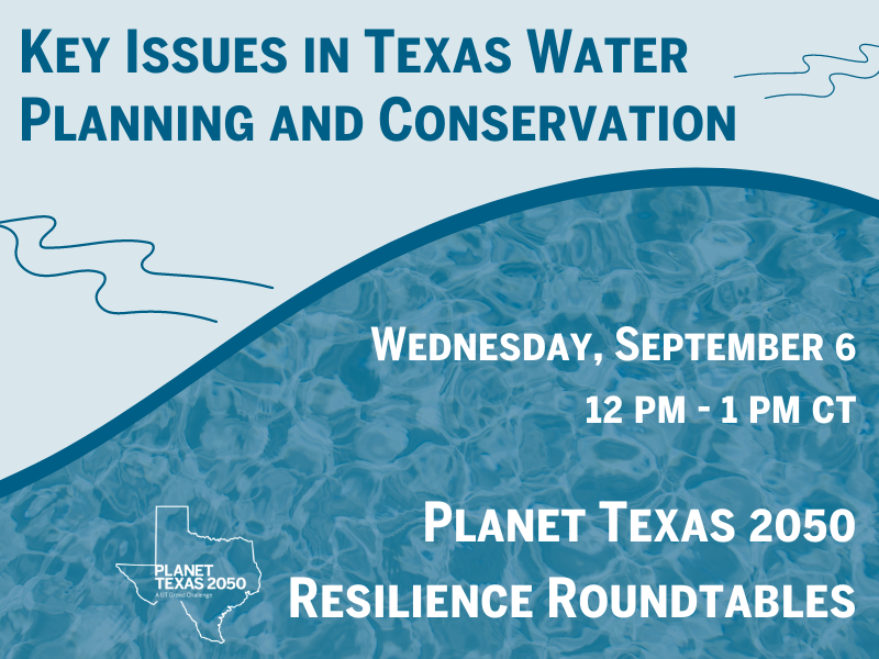 key issues in texas water planning and conservation