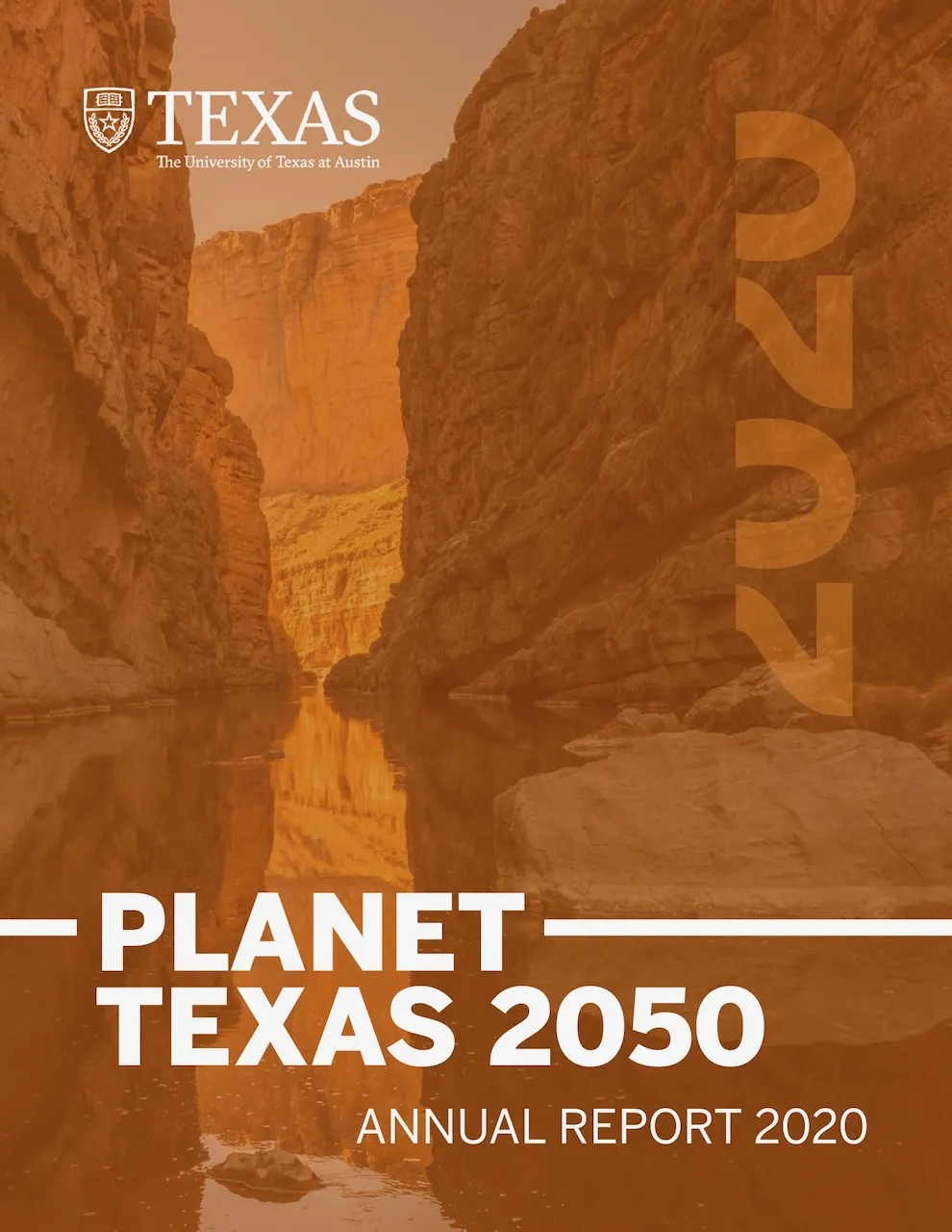 PT2050 annual report FY20
