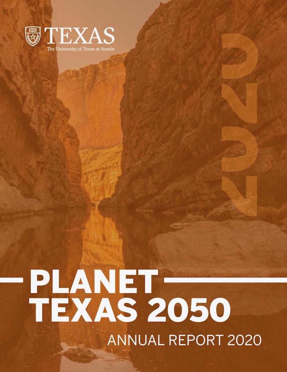 PT2050 annual report FY20