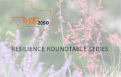 Resilience Round Table Logo