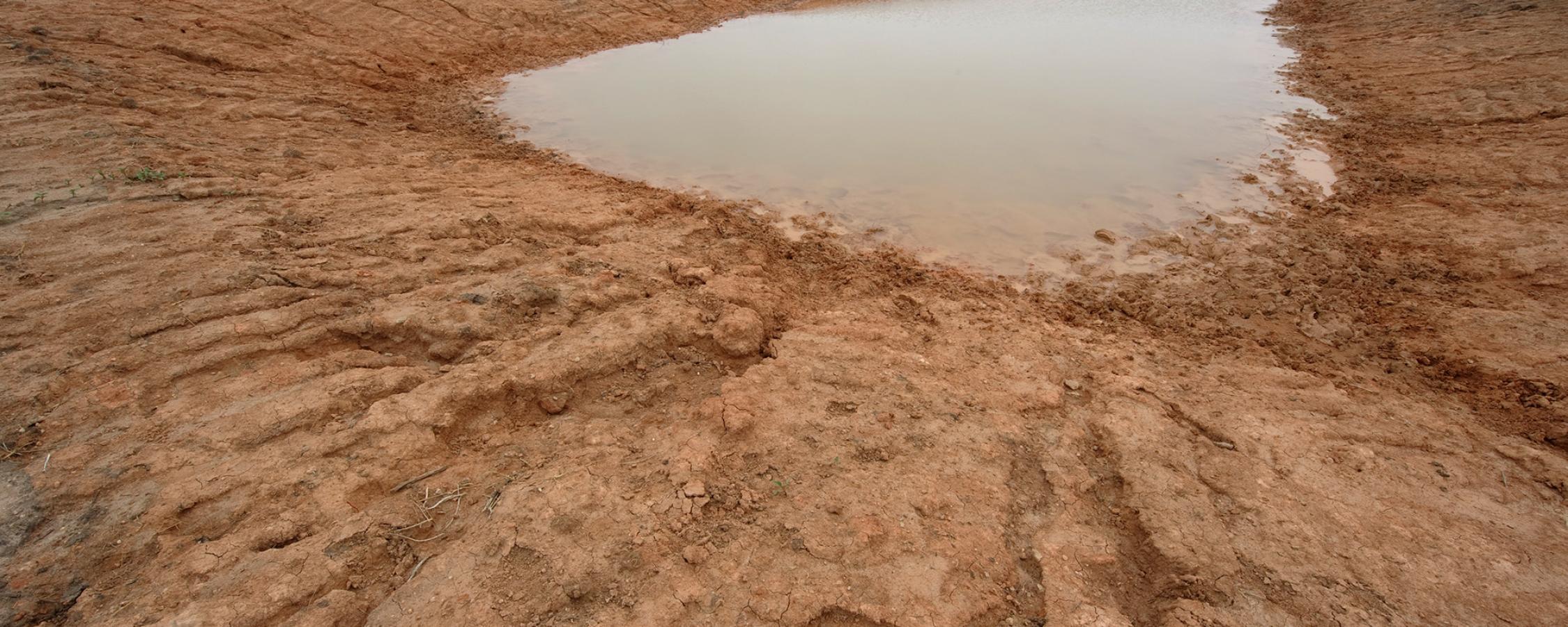 drought