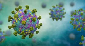 novel coronavirus