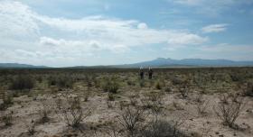 ranchers walk across parched land