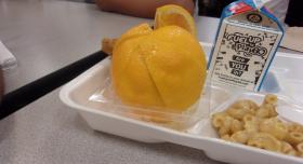 student lunch meal
