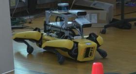 Robot dog