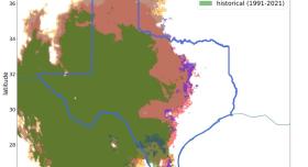 , shows the predicted historical (1991-2020) and future climate suitability distributions of Triatoma rubida, a species of kissing bug present in Texas