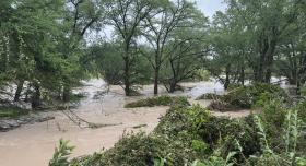 The Guadalupe River in Spring Branch, Texas, after the July 4, 2025 floods. The image is a wide shot of a muddy, rushing river heavily flooding a wooded area, submerging the bases of numerous trees and sweeping through green foliage.