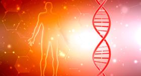 A brightly lit, orange-hued AI-generated pastiche, with the outline of a man on the left, in the background, and a DNA strand on the right, in the foreground