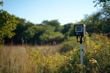 Bio-acoustic monitoring is just one of many tools RISE researchers are using.