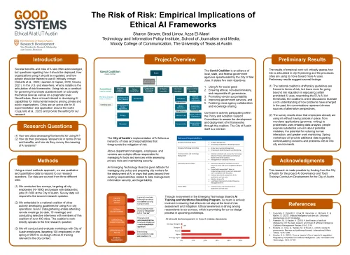 The Risk of Risk poster