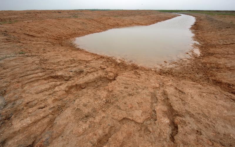 drought
