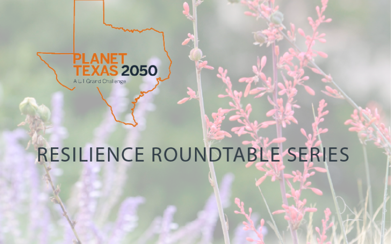 Resilience Round Table Logo