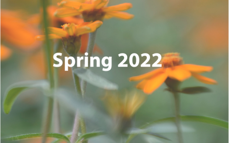 Spring 2022