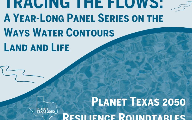 Key Issues on Texas Water Planning and Conservation